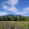 Purl in the Pines, Flagstaff, AZ, Aug 10-12, 2012