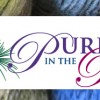 January 17, 2012: Purl in the Pines in Flagstaff, Arizona
