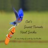 Cat’s Sweet Tomato Heel Socks – an eBook